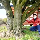 동백환경 이미지