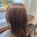 금희헤어 - 포항시 남구 효성로93번길 22-14 | 정자역미용실 예움헤어 분당정자점 종우디자이너 톤다운 매트브라운 염색 후기