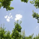 영천우리농장 이미지