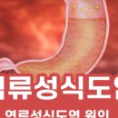 메디팜스토리