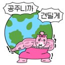 보약 한상