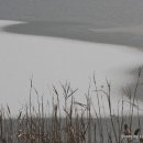 강가의 추억 이미지