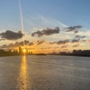 일 라고 이미지