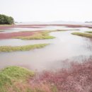 후크선장과 바다낚시 이미지