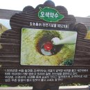 용문산 관광지 이미지