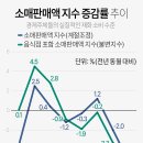 소매나라 이미지