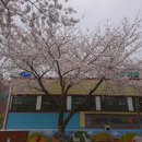 서호동-28 이미지