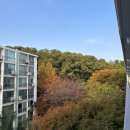 백현고고 삼거리(1단지쪽) | [일상] 이사후기_동작구에서 서초구로