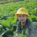 재훈농장 이미지