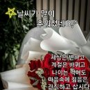 로타리다방 이미지