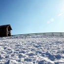 유일1목장 이미지