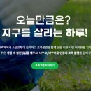 창전 티스토리