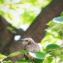 장일셀프타운 이미지