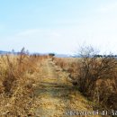 대부해솔길 6코스 이미지