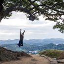 유성사랑나무 | 누(樓)정(亭)대(臺) 투어 시즌 9 --- 꼴지 탈출 기념 : 마리한화의 고향 백제 (2)