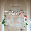 디자인홀 | 메리다 리얼 계약 후기: 홀 디자인부터 프리미엄 뷔페까지 대만족