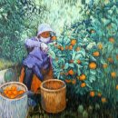 귤림추색 이미지