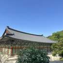 황토 | 김제 금산사 후기 미륵전 황토길과 템플스테이 힐링 코스