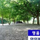 아이비오토캠핑장 이미지
