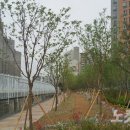 대선초등학교 주변 이미지