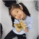 경희대 인성 태권도장 이미지