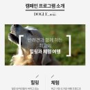도그휴