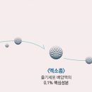 가디언 동물의료센터 이미지