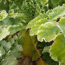 해진농장 이미지