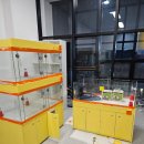 털뭉치즈 이미지