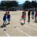 삼생초등학교 이미지