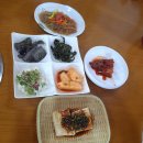 수동계곡 펜션 | 남양주 수동 몽골문화촌 근처 맛집 ㅣ 햇살촌 솔직한 후기