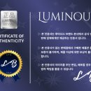 루미너스파트너