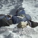 히말라야 이미지