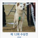 진도개영농조합 이미지