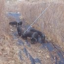 자연축산 이미지