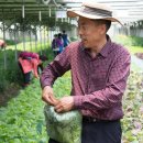 장안균농장 이미지