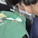 성남리더스치과의원 이미지