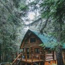 생명예찬2 이미지