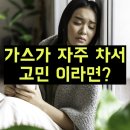 건강한약국 | 게스린 가스 억제균 효과 가격 유산균 부작용 후기 약국 판매?
