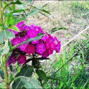 김영환농장 이미지