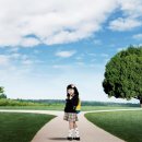 연화초등학교(병설유치원 포함) 이미지