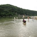 생명의 소리 이미지