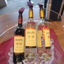 타오호텔 | [게로 온천 호텔 리뷰 - 타오야 게로 TAOYA GERO] 舊...디너, 조식 뷔페 | 가성비 호텔 | 숙박 후기 | 리뷰