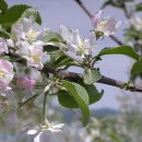 한무도장 이미지