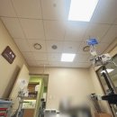 성모병원 | 서울성모병원 NSAIDs 엔세이드 진통제부작용으로 마비가...?