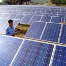 태양정밀태양광발전소 이미지