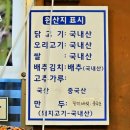 용덕산장 이미지