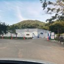 파주 더초리골 수영장 야간후기