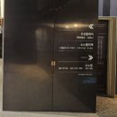 소노펠리체 델피노 이미지