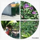 수두농장 이미지